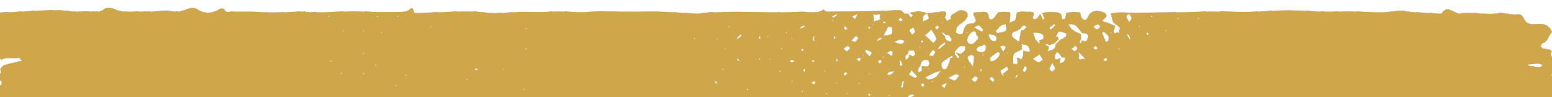 Timor Consulting Website Border images (5)