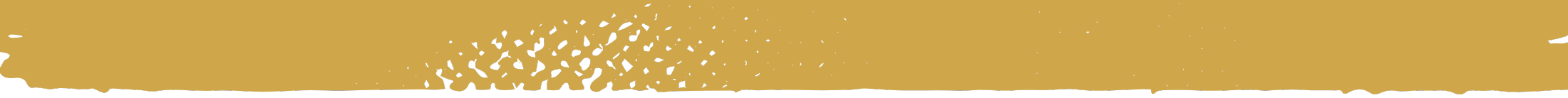 Timor Consulting Website Border images (6)